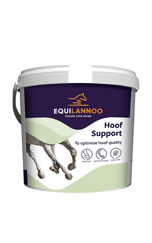 EQUILANOO Suplemento Biotina para Caballos