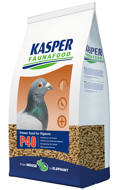 KASPER FAUNAFOOD Pienso P40 para Palomas 4 kg Pienso para Palomas