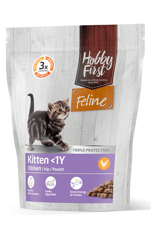 HobbyFirst Feline Pienso para Gatitos 800g