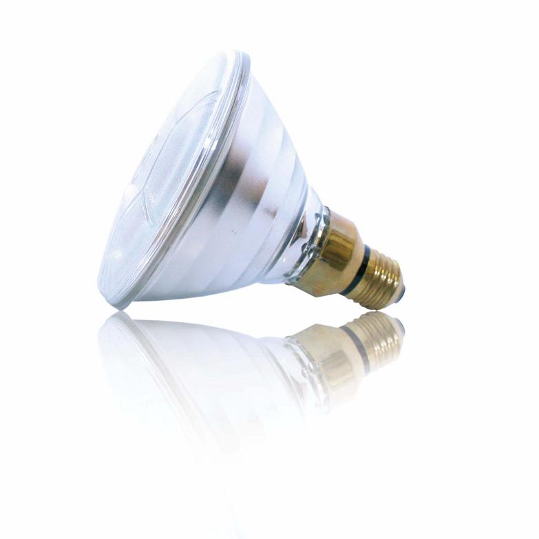 DRAGON Lámpara para Reptiles 60 W BREEDING LIGHT