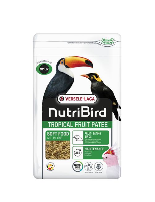 NutriBird Tropical Fruit Patee Aves frugívoras 1 kg
